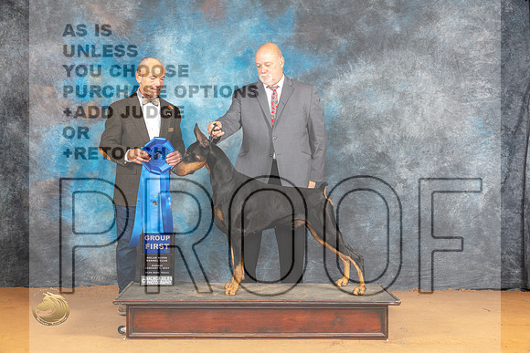 Dobermann Pinscher #15 Sun G1 Judge Butch Schulman_JP_1494_Glen Rose_2024_HR3