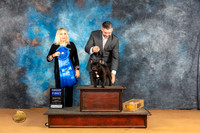 French Bulldog #35 Sun G1 Judge Edy Blum