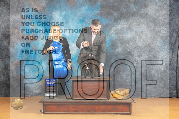 French Bulldog #35 Sun G1 Judge Edy Blum_JP_1341_Glen Rose_2024_HR3