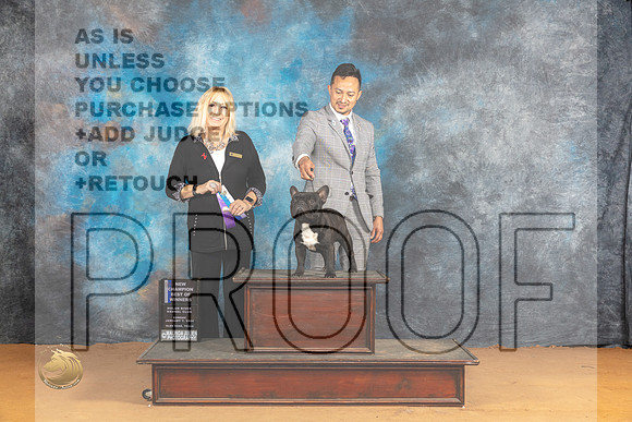 French Bulldog #45 Sun BOWCH Judge Edy Blum_JP_1218_Glen Rose_2024_HR3