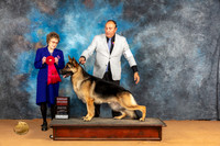 German Shepherd Dog #9 Sun G2 Judge Pat Trotter