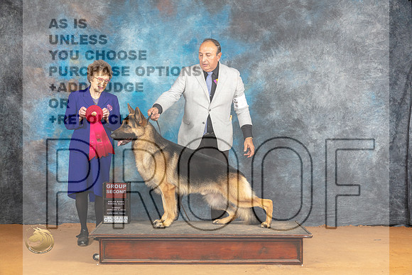 German Shepherd Dog #9 Sun G2 Judge Pat Trotter_JP_1280_Glen Rose_2024_HR3