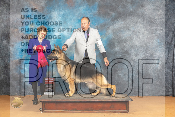 German Shepherd Dog #9 Sun G2 Judge Pat Trotter_JP_1281_Glen Rose_2024_HR3