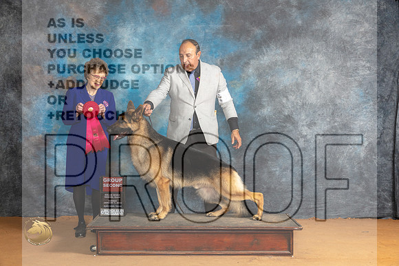 German Shepherd Dog #9 Sun G2 Judge Pat Trotter_JP_1283_Glen Rose_2024_HR3