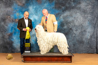 Komondor #5 Sun G3 Judge Butch Schulman