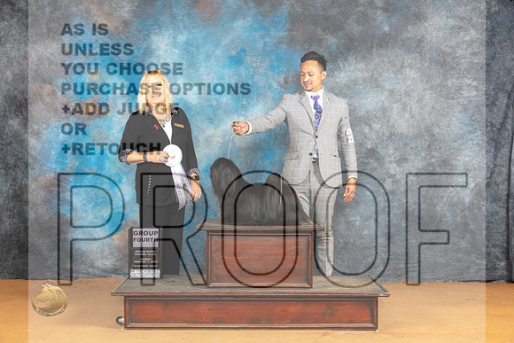 Lhasa Apso #6 Sun G4 Judge Edy Blum_JP_1354_Glen Rose_2024_HR3