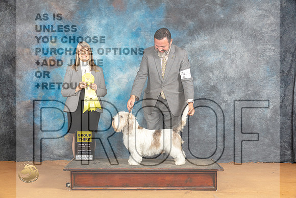 PBGV #5 Sun G3 Judge Angela Pickett_JP_1412_Glen Rose_2024_HR3