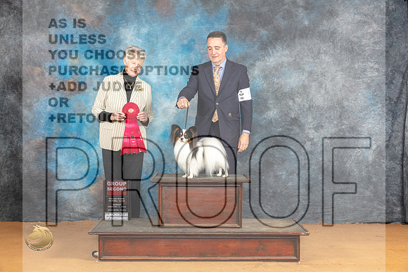 Papillon #9 Sun G2 Judge Nena Dee_JP_1236_Glen Rose_2024_HR3