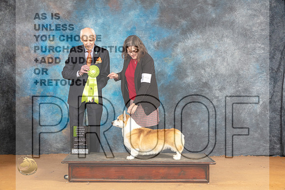 Pembroke Welsh Corgi #19 Sun OHRBIS Judge Dr Norbert Dee_JP_1519_Glen Rose_2024_HR3