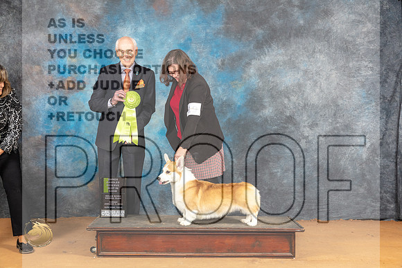 Pembroke Welsh Corgi #19 Sun OHRBIS Judge Dr Norbert Dee_JP_1520_Glen Rose_2024_HR3