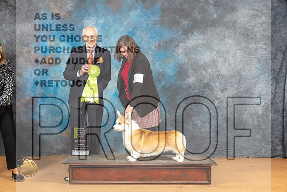 Pembroke Welsh Corgi #19 Sun OHRBIS Judge Dr Norbert Dee_JP_1521_Glen Rose_2024_HR3