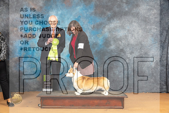 Pembroke Welsh Corgi #19 Sun OHRBIS Judge Dr Norbert Dee_JP_1527_Glen Rose_2024_HR3