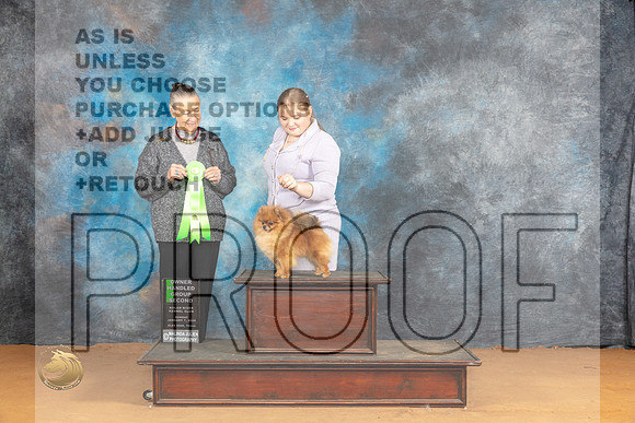Pomeraniann #17 Sun OHG2 Judge Carolyn Herbel_JP_1250_Glen Rose_2024_HR3