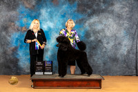 Poodle Std #3 Sun WBBOWBOBCH Judge Edy Blum