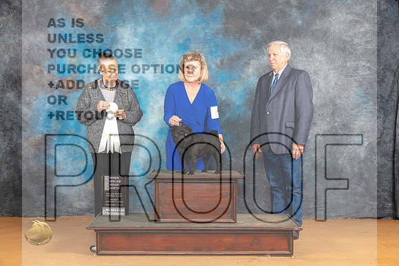 Pug #7 Sun OHG4 Judge Carolyn Herbel_JP_1254_Glen Rose_2024_HR3
