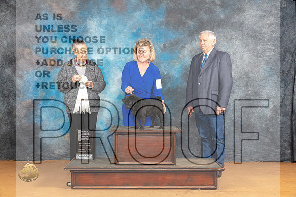 Pug #7 Sun OHG4 Judge Carolyn Herbel_JP_1257_Glen Rose_2024_HR3