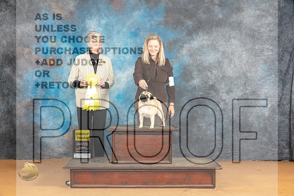 Pug #8 Sun BOB Judge Nena Dee_JP_1466_Glen Rose_2024_HR3
