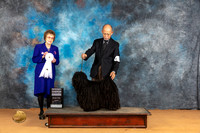Puli #5 Sun G4 Judge Pat Trotter