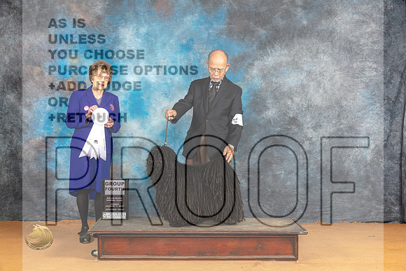 Puli #5 Sun G4 Judge Pat Trotter_JP_1287_Glen Rose_2024_HR3
