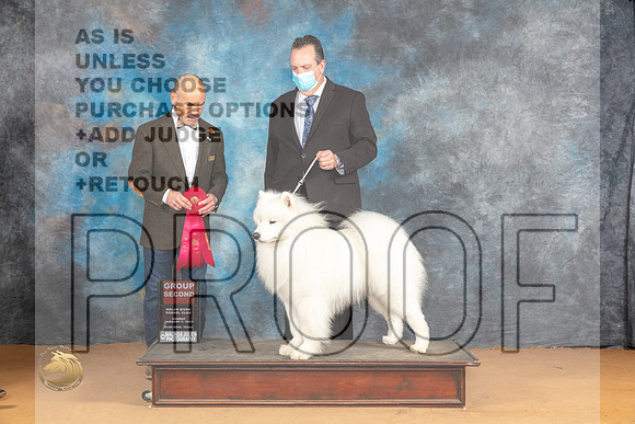 Samoyed #7 Sun G2 Judge Butch Schulman_JP_1441_Glen Rose_2024_HR3