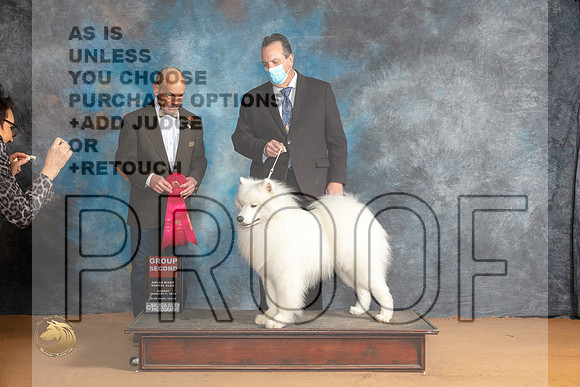 Samoyed #7 Sun G2 Judge Butch Schulman_JP_1446_Glen Rose_2024_HR3