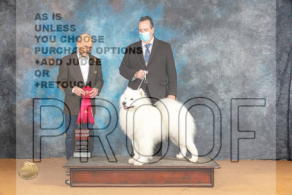 Samoyed #7 Sun G2 Judge Butch Schulman_JP_1449_Glen Rose_2024_HR3