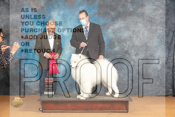 Samoyed #7 Sun G2 Judge Butch Schulman_JP_1447_Glen Rose_2024_HR3