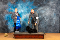 Scottish Terrier #6 Sun G1 Judge Carolyn Herbel