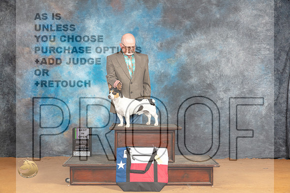 Teddy Roosevelt Terrier #425 Sun BOBBIS Judge Robin Casey_JP_1303_Glen Rose_2024_HR3