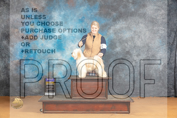 Tibetann Terrier #6 Sun BOB Judge Pat Trotter_JP_1337_Glen Rose_2024_HR3