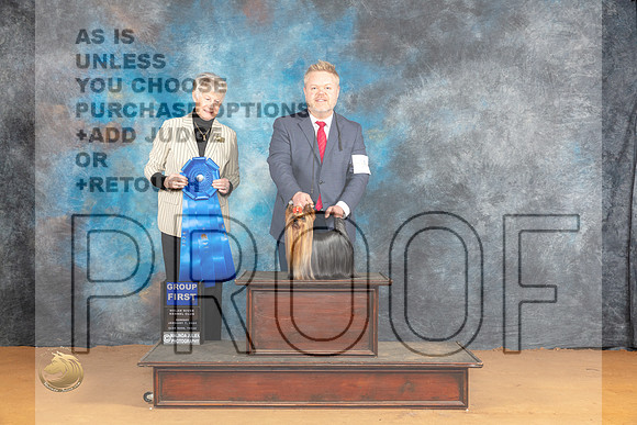 Yorkshire Terrier #7 Sun G1 Judge Nena Dee_JP_1227_Glen Rose_2024_HR3