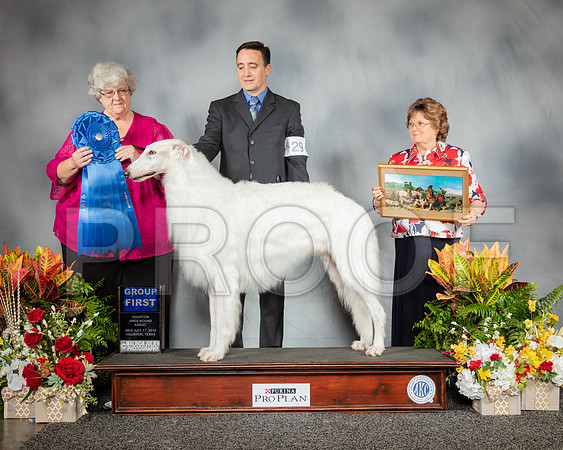 Borzoi #29 Wed G1 Judge Judy Newton_SSR_2943_Hstn2019_HR3