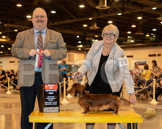 Dachshund Long #28 Wed BOS Judge Todd Miller__ST_6462-Hstn2019-HR3