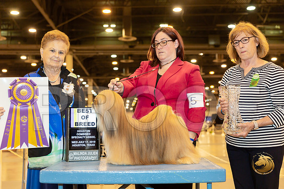Lhasa Apso #5 Wed BISS Judge Carol Jean Nelson_JJJ_8466-Hstn2019-HR3