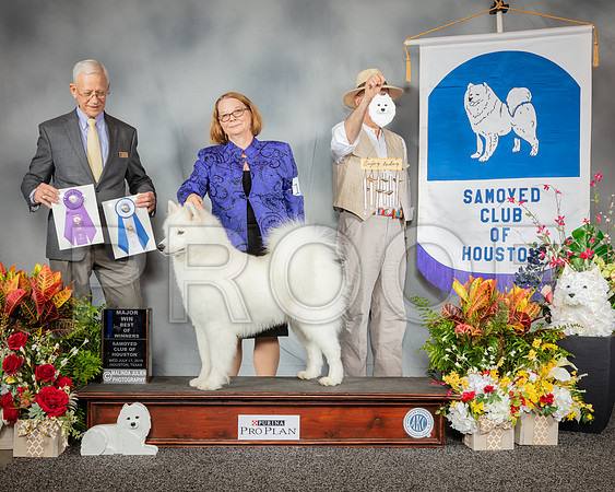 Samoyed #14 Wed BOW MAJ Judge Robert Vandiver_SSR_2536_Hstn2019_HR3