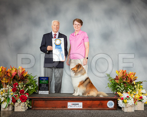 Shetland Sheepdog #88 Wed HIT Judge Rick Cox_SSR_2390_Hstn2019_HR3