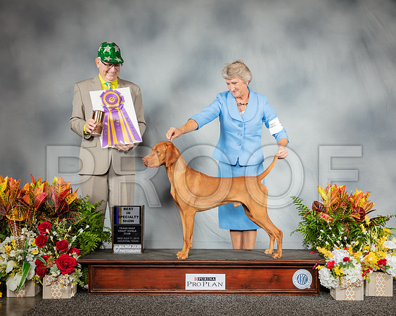 Vizsla #5 Wed BISS Judge Johnny Shoemaker_SSR_2451_Hstn2019_HR3