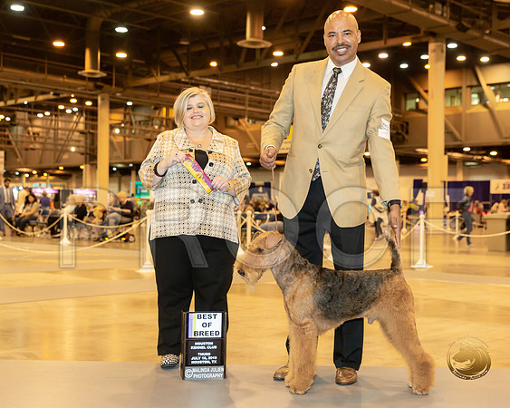 Airedale #11 Thur BOB Judge Patricia Anne Keenan_JJJ_8518-Hstn2019-HR3
