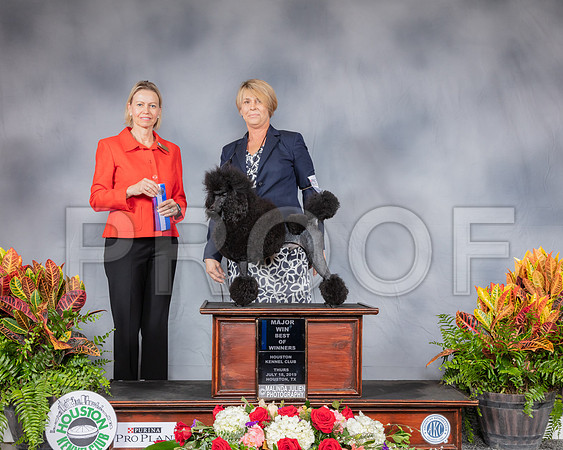Poodle Miniature #15 Thurs BOV Judge Patricia Sosa_SSR_3015_Hstn2019_HR3