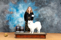 American Eskimo  #11 Mon BOWMCH Judge Edy Blum