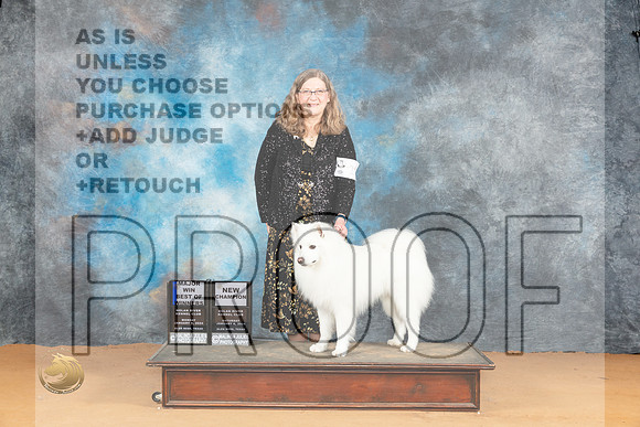 American Eskimo  #11 Mon BOWMCH Judge Edy Blum_JP_1737_Glen Rose_2024_HR3