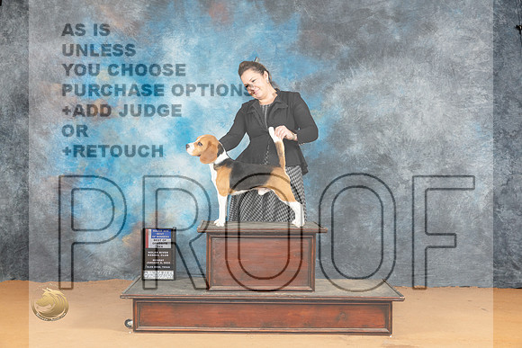 Beagle 15 #15 Mon BOWBOSM Judge Dr Steve Keating_JP_1848_Glen Rose_2024_HR3