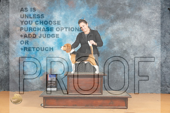 Beagle 15 #15 Mon BOWBOSM Judge Dr Steve Keating_JP_1850_Glen Rose_2024_HR3
