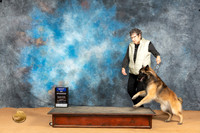 Belgian Tervuren #9 Sun BOW Judge Butch Schulman