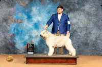 Bouvier #10 Mon BOS Judge Pat Trotter