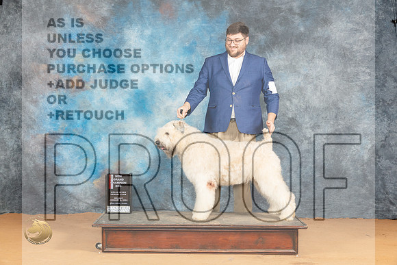Bouvier #10 Mon BOS Judge Pat Trotter_JP_1901_Glen Rose_2024_HR3