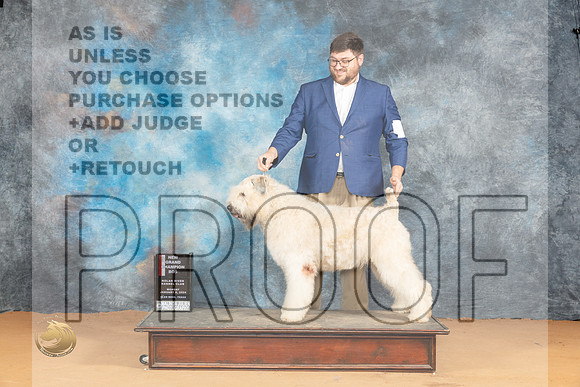 Bouvier #10 Mon BOS Judge Pat Trotter_JP_1904_Glen Rose_2024_HR3