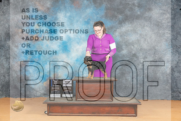 Brussel Griffon #5 Mon BOBBOWMCH Judge Nena Dee_JP_1688_Glen Rose_2024_HR3