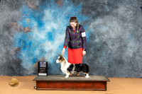 Cardigan Welsh Corgi #16 Mon WBBOWMCH Judge Pat Trotter