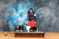Cardigan Welsh Corgi #6 on RWB Judge Pat Trotter